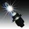 HID lamp