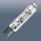 Gas discharge lamp