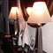 Light shade