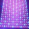 Plant grow light